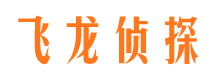 平阳市场调查